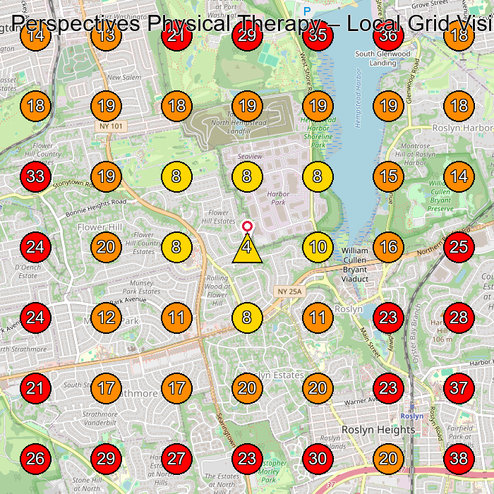 Perspectives Physical Therapy GeoGrid visibility map for Physical Therapy Clinic in Manhasset